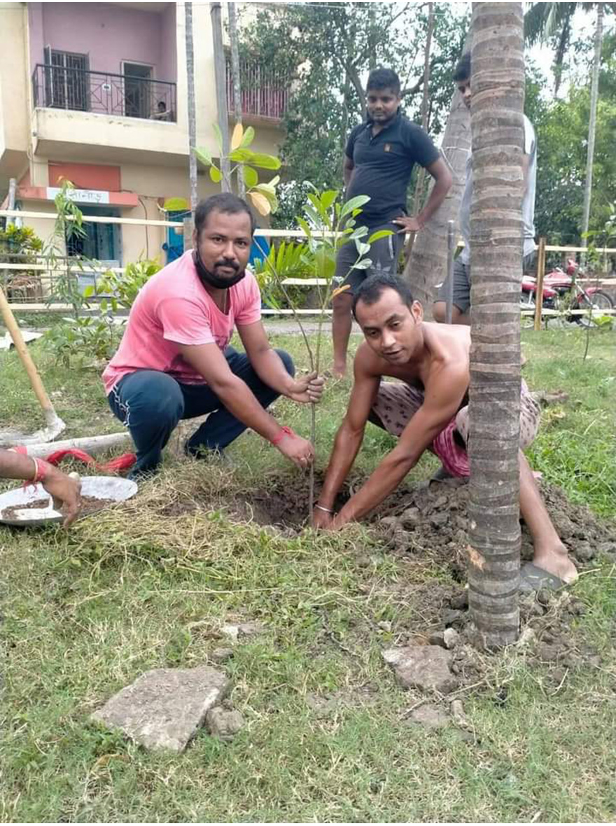 Plantation