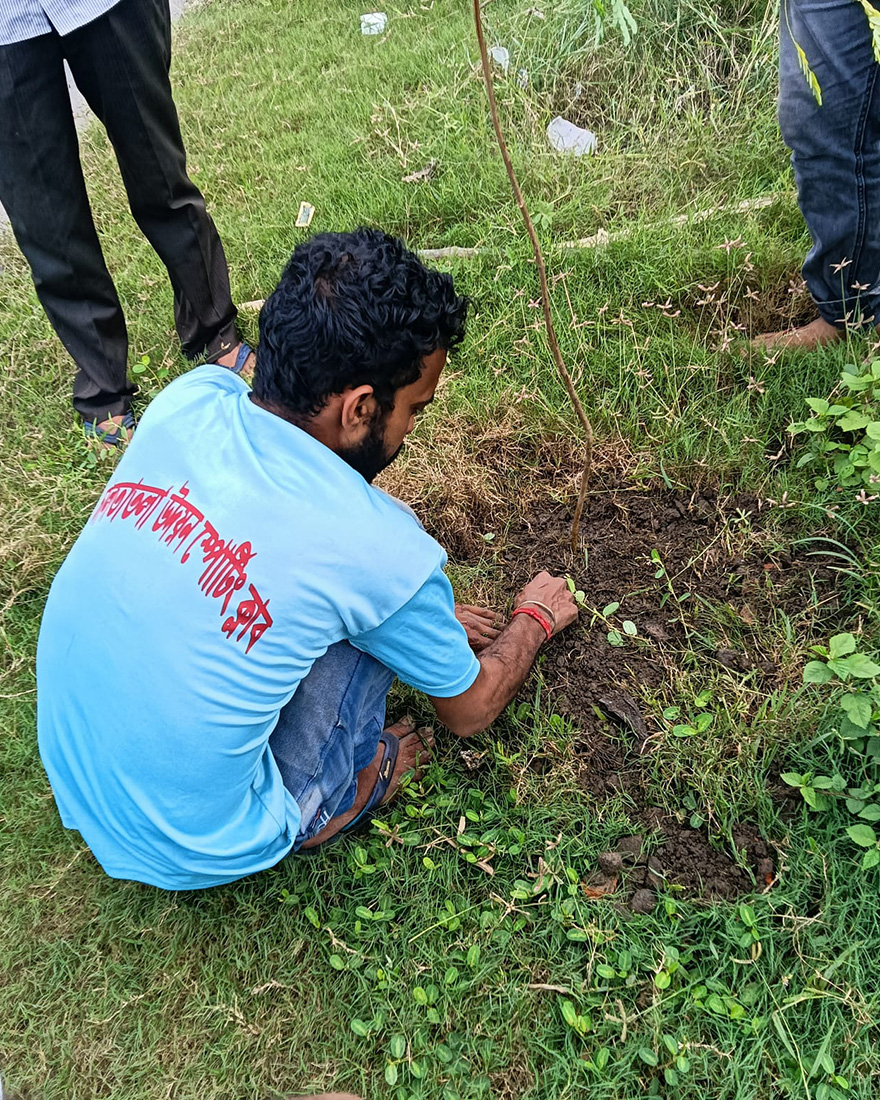 Plantation