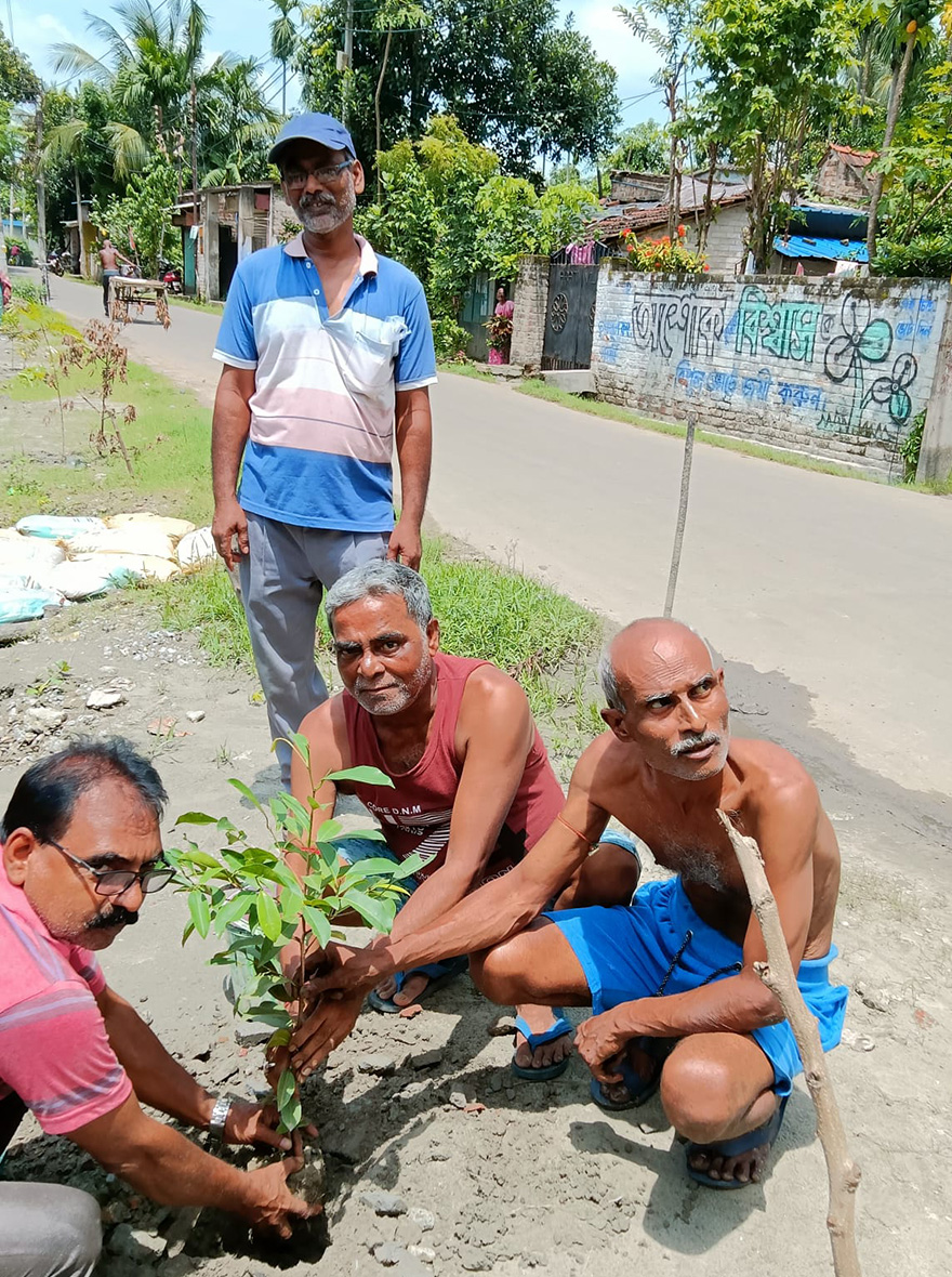 Plantation