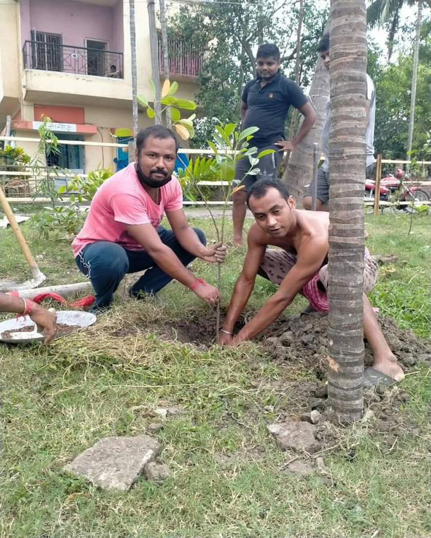 Plantation