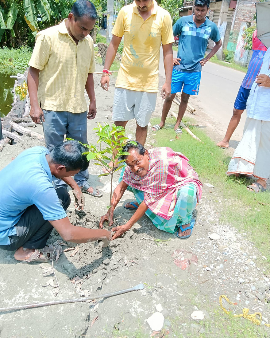 Plantation