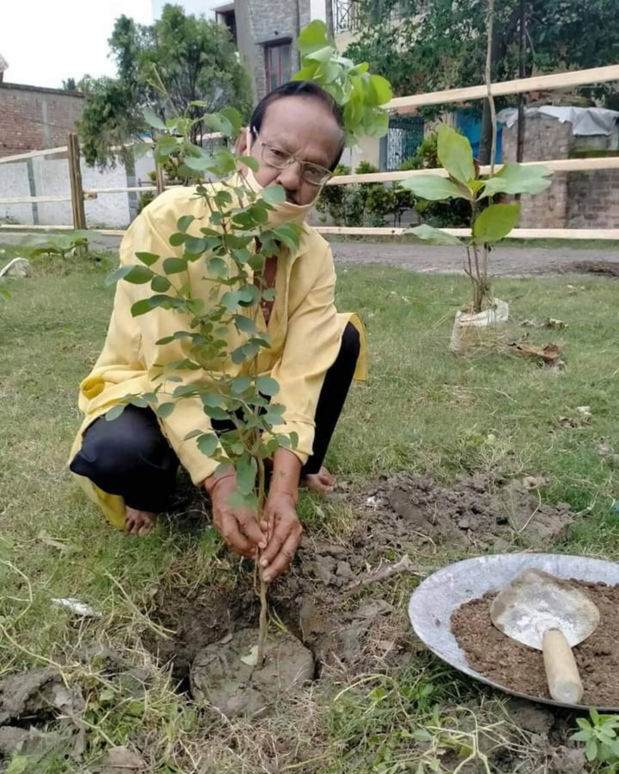 Plantation