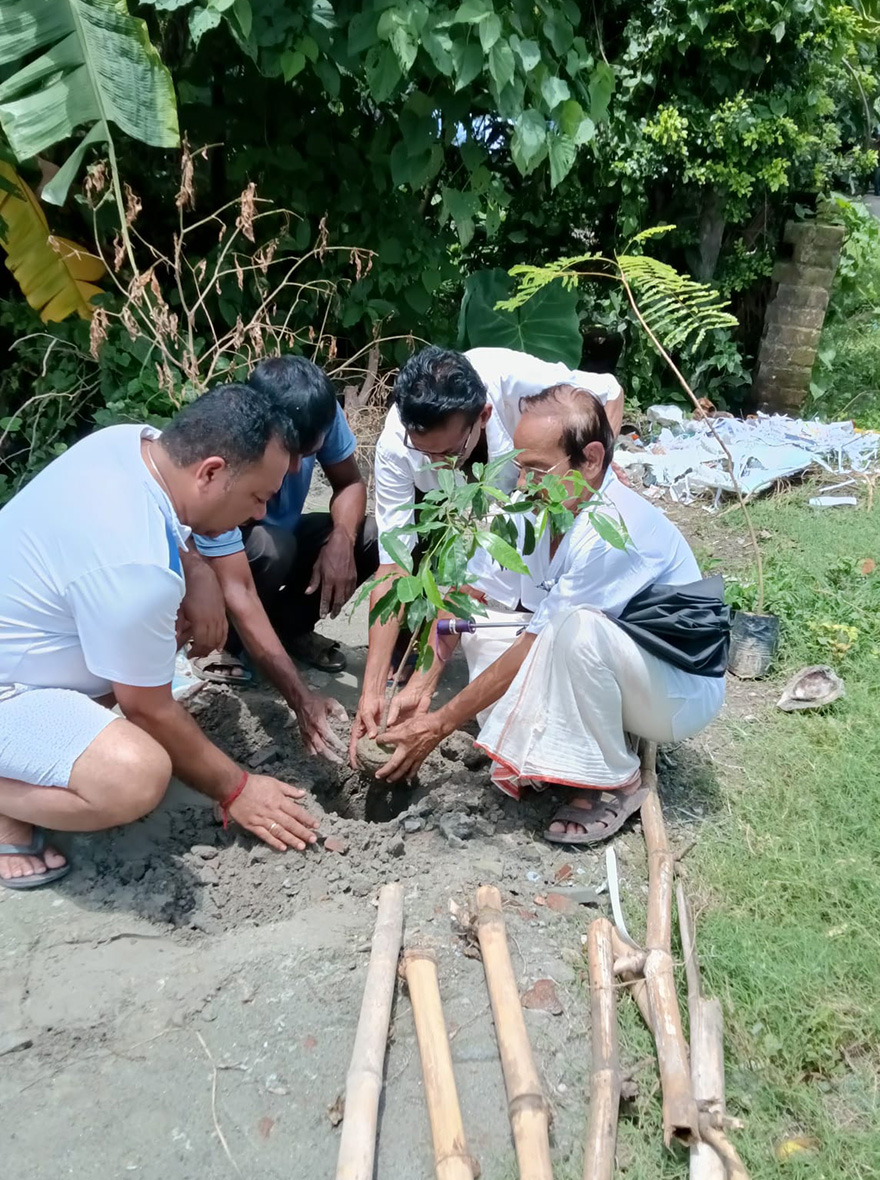 Plantation