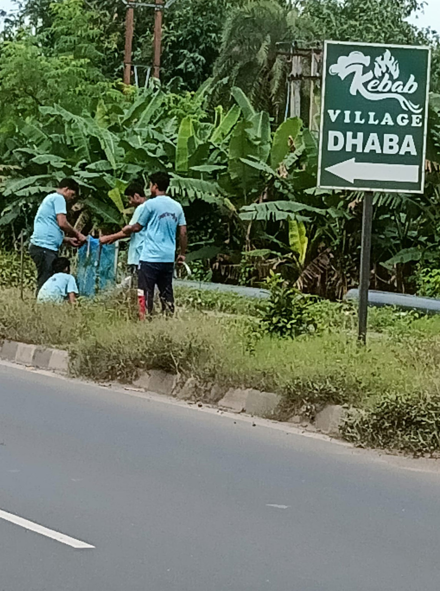 Plantation